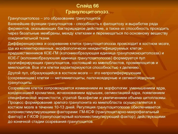 Слайд 66 Гранулоцитопоэз. Гранулоцитопоэз – это образование гранулоцитов Важнейшие функции