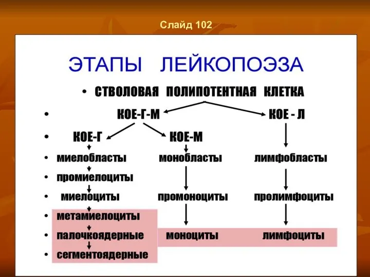 Слайд 102