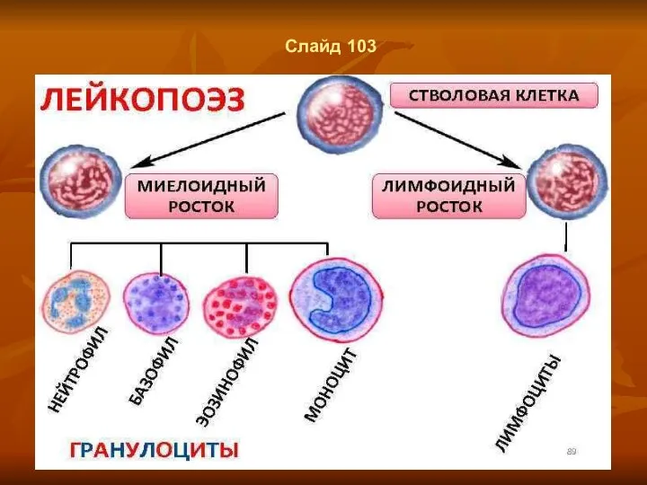 Слайд 103