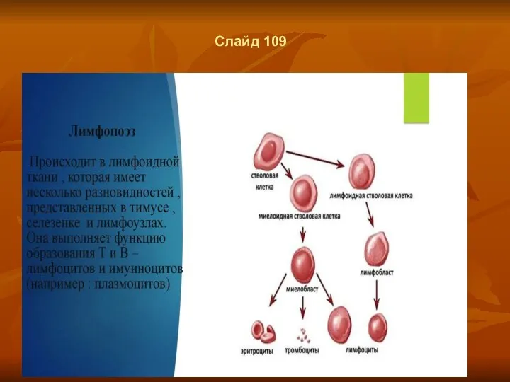 Слайд 109