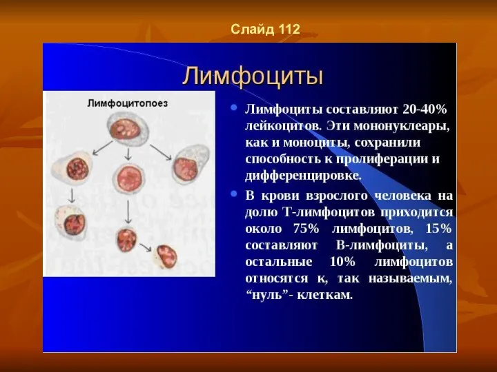 Слайд 112