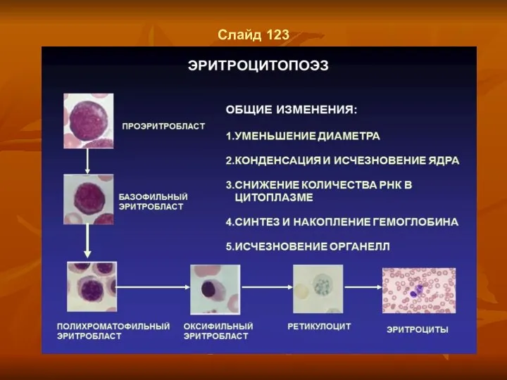 Слайд 123