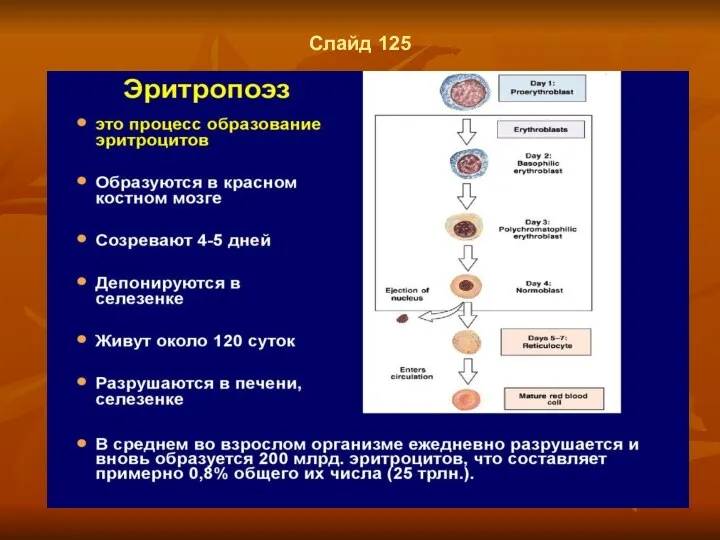Слайд 125