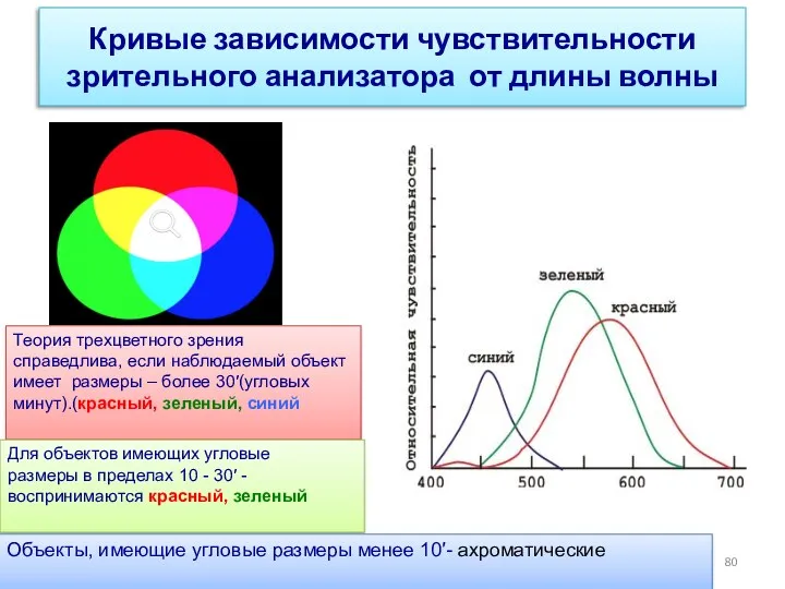 Кривые зависимости чувствительности зрительного анализатора от длины волны Теория трехцветного