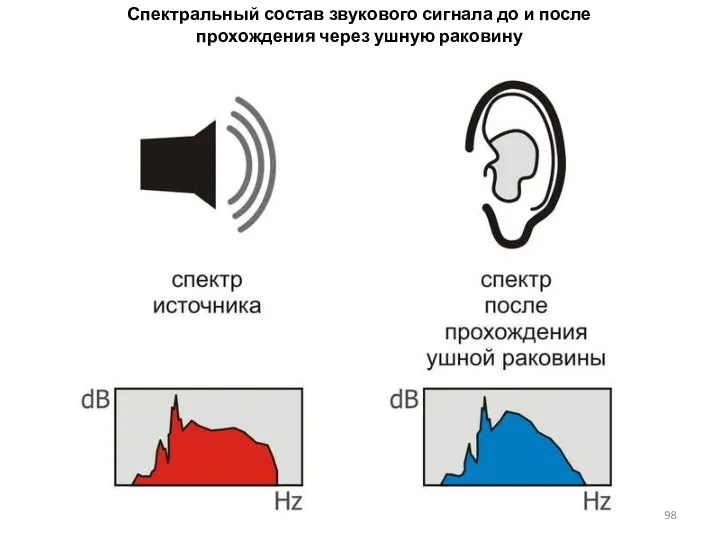 Спектральный состав звукового сигнала до и после прохождения через ушную раковину