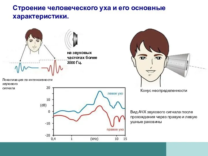 Строение человеческого уха и его основные характеристики. Локализация по интенсивности