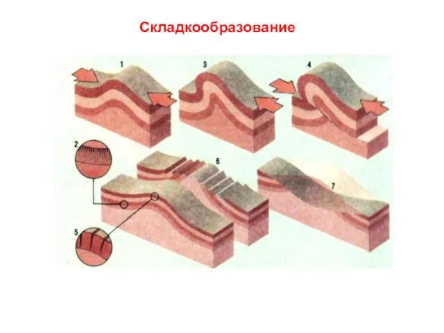 Складкообразование