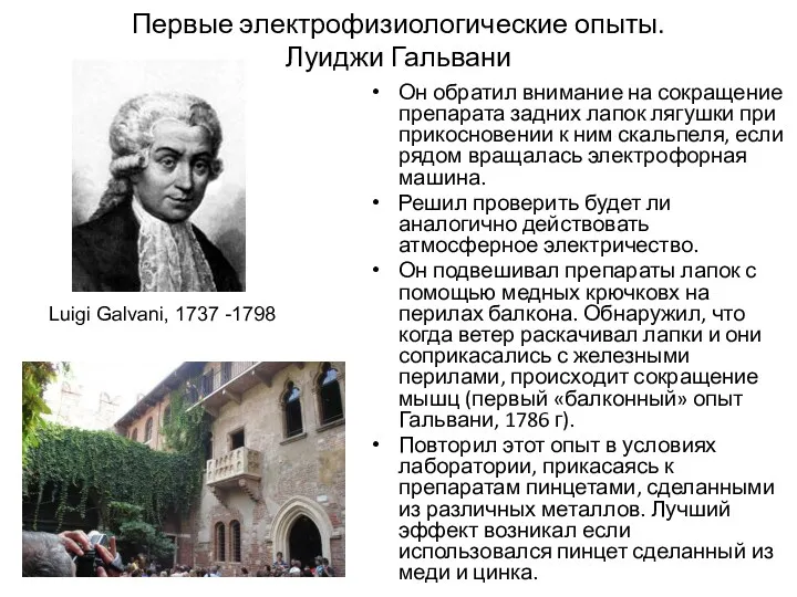 Первые электрофизиологические опыты. Луиджи Гальвани Он обратил внимание на сокращение