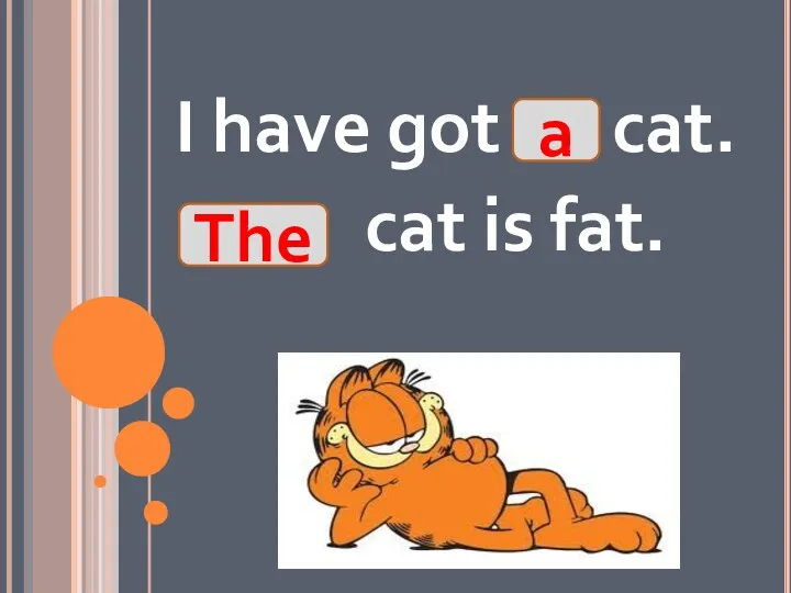 I have got cat. cat is fat. a The