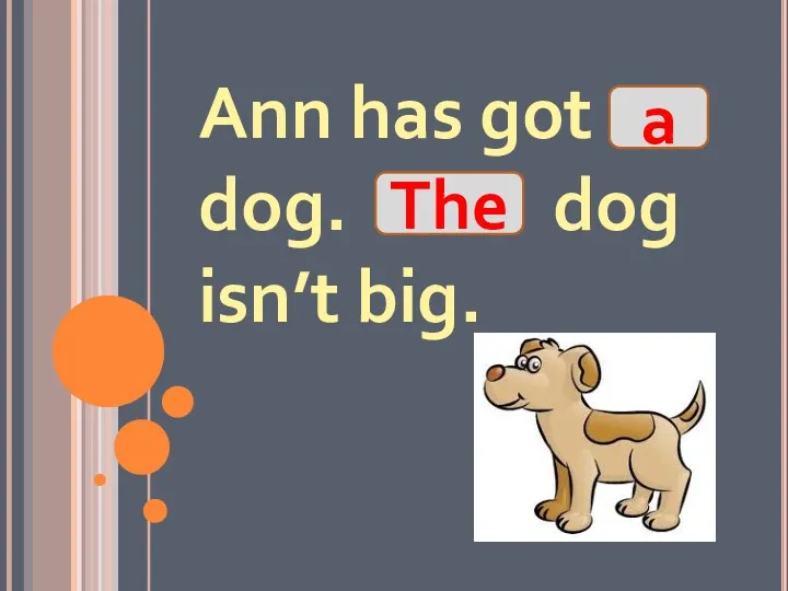 Ann has got dog. dog isn’t big. The a