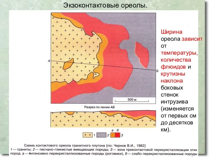 Экзоконтактовые ореолы. Ширина ореола зависит от температуры, количества флюидов и