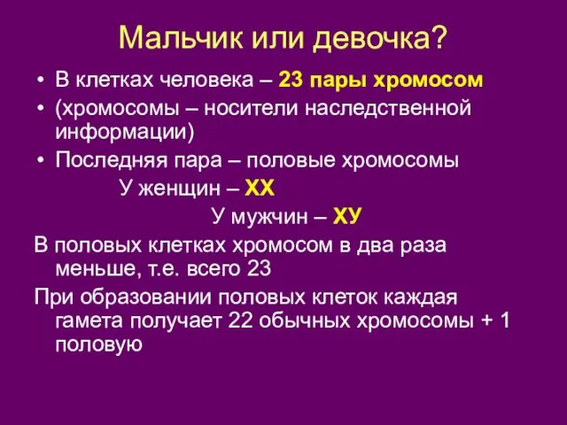 Мальчик или девочка? В клетках человека – 23 пары хромосом (хромосомы – носители