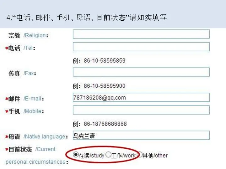 4.“电话、邮件、手机、母语、目前状态”请如实填写
