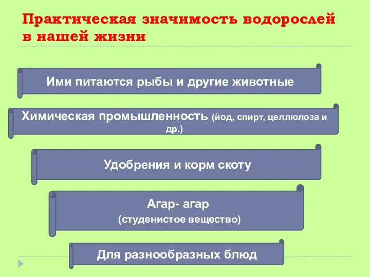 Практическая значимость водорослей в нашей жизни Химическая промышленность (йод, спирт,