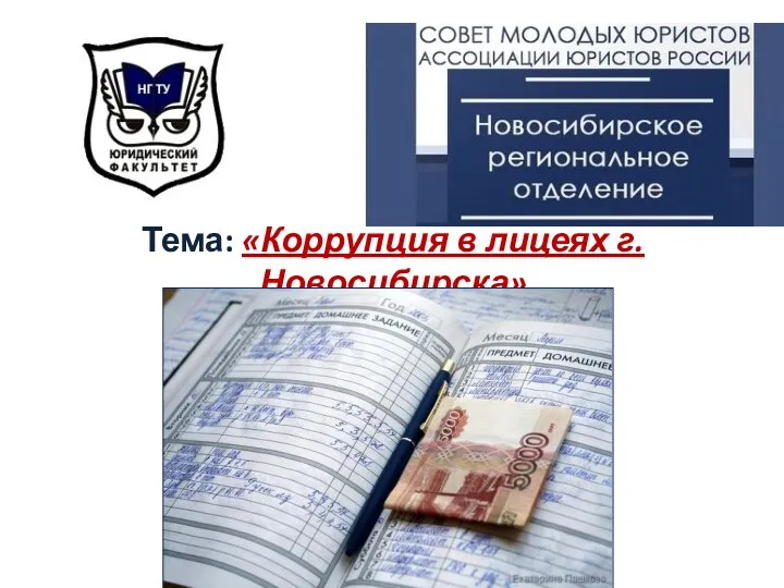 Тема: «Коррупция в лицеях г.Новосибирска»