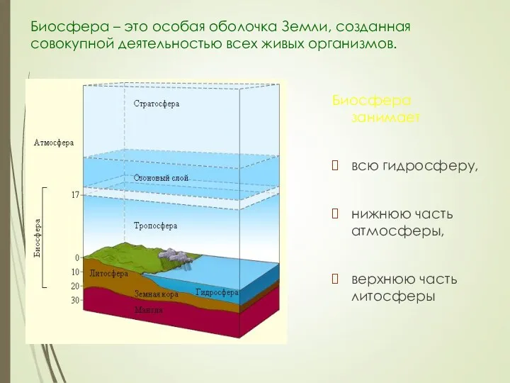Биосфера – это особая оболочка Земли, созданная совокупной деятельностью всех живых организмов. Биосфера