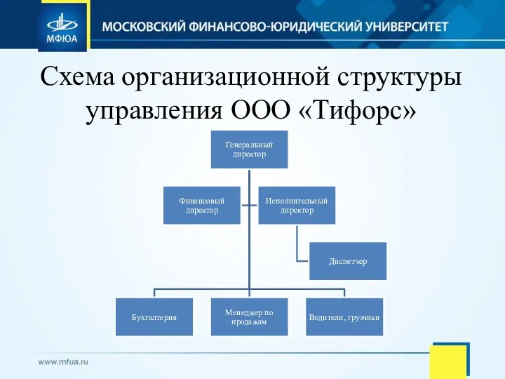 Схема организационной структуры управления ООО «Тифорс»