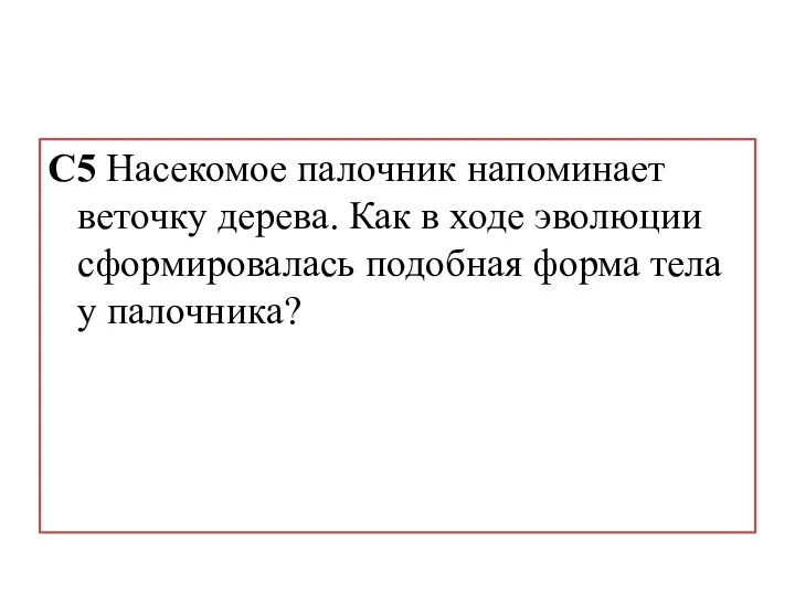 C5 Насекомое палочник напоминает веточку дерева. Как в ходе эволюции сформировалась подобная форма тела у палочника?