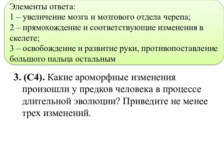 3. (С4). Какие ароморфные изменения произошли у предков человека в