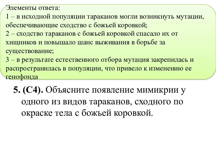 5. (С4). Объясните появление мимикрии у одного из видов тараканов,