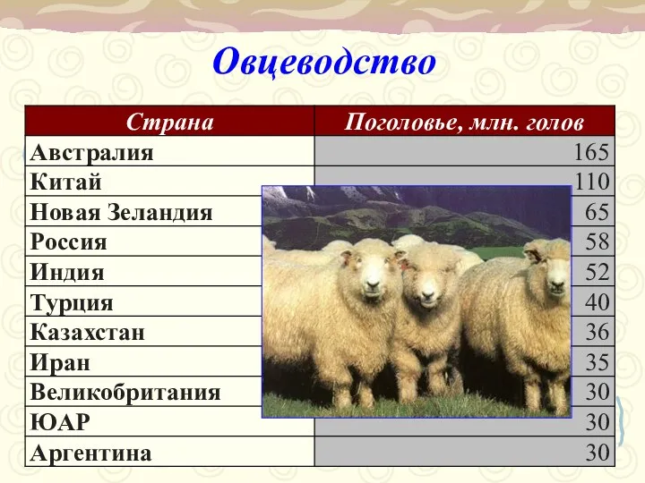 Овцеводство