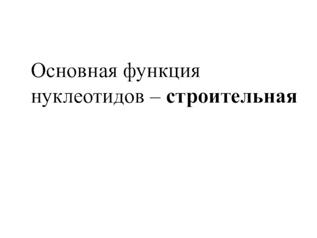 Основная функция нуклеотидов – строительная