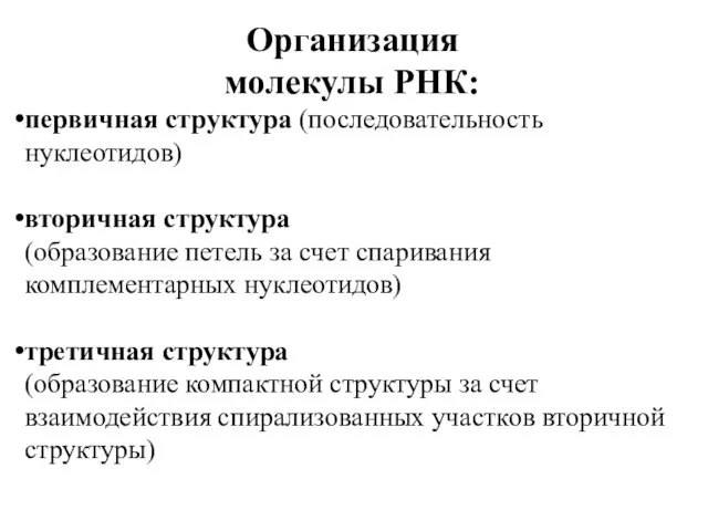 Организация молекулы РНК: первичная структура (последовательность нуклеотидов) вторичная структура (образование