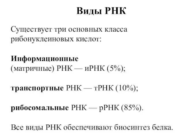 Виды РНК Существует три основных класса рибонуклеиновых кислот: Информационные (матричные)