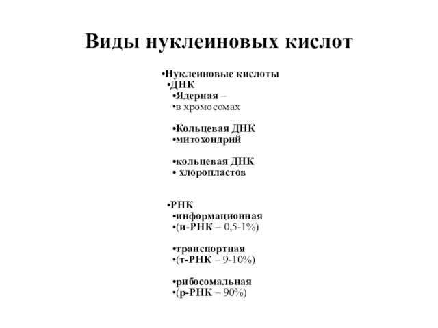 Нуклеиновые кислоты ДНК Ядерная – в хромосомах Кольцевая ДНК митохондрий