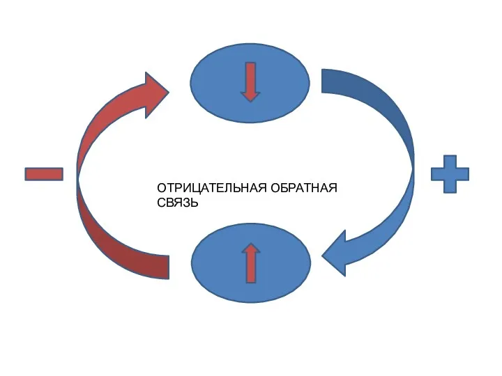 ОТРИЦАТЕЛЬНАЯ ОБРАТНАЯ СВЯЗЬ