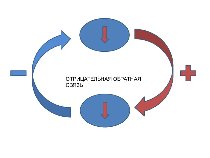 ОТРИЦАТЕЛЬНАЯ ОБРАТНАЯ СВЯЗЬ