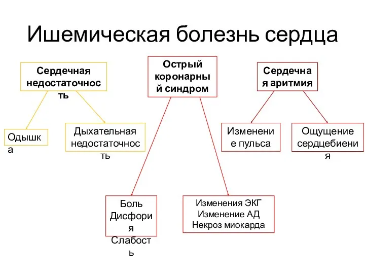 Ишемическая болезнь сердца Острый коронарный синдром Сердечная недостаточность Сердечная аритмия