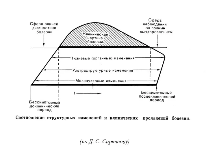 (по Д. С. Саркисову)