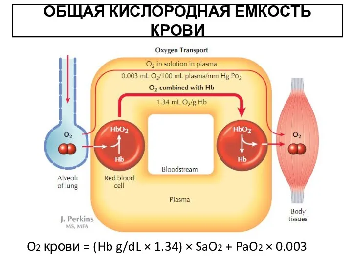 ОБЩАЯ КИСЛОРОДНАЯ ЕМКОСТЬ КРОВИ O2 крови = (Hb g/dL ×