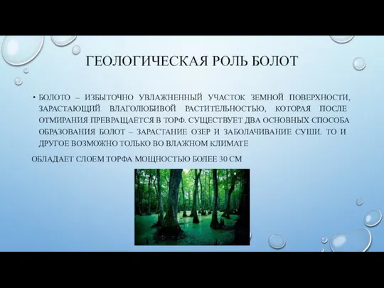 ГЕОЛОГИЧЕСКАЯ РОЛЬ БОЛОТ БОЛОТО – ИЗБЫТОЧНО УВЛАЖНЕННЫЙ УЧАСТОК ЗЕМНОЙ ПОВЕРХНОСТИ, ЗАРАСТАЮЩИЙ ВЛАГОЛЮБИВОЙ РАСТИТЕЛЬНОСТЬЮ,