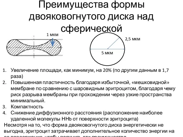 Преимущества формы двояковогнутого диска над сферической 2,5 мкм 1 мкм