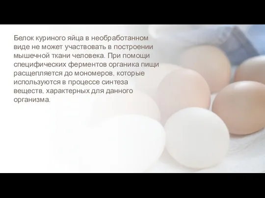 Белок куриного яйца в необработанном виде не может участвовать в