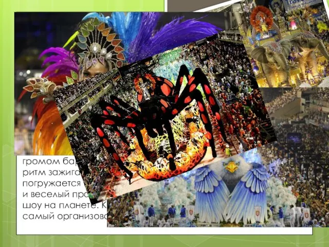 Бразилия – Родина карнавала Месиво из тел в кольце воланов движется изящно, как