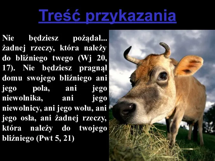 Treść przykazania Nie będziesz pożądał... żadnej rzeczy, która należy do