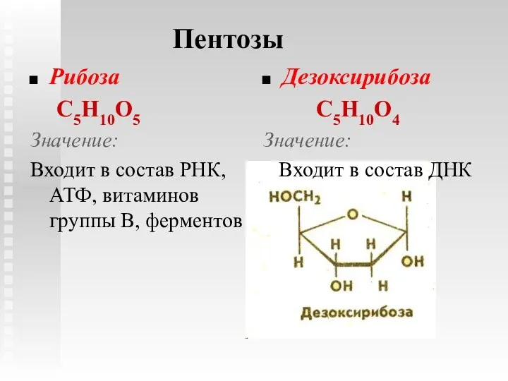 Пентозы Рибоза С5Н10О5 Значение: Входит в состав РНК, АТФ, витаминов группы В, ферментов