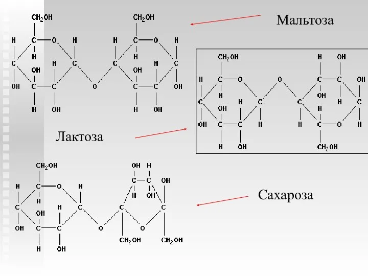 Мальтоза Лактоза Сахароза