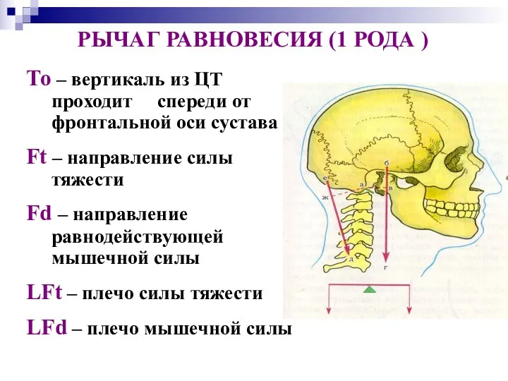 РЫЧАГ РАВНОВЕСИЯ (1 РОДА ) То – вертикаль из ЦТ