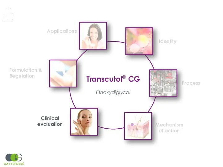 Transcutol® CG Ethoxydiglycol Identity Process Mechanism of action Clinical evaluation Formulation & Regulation Applications