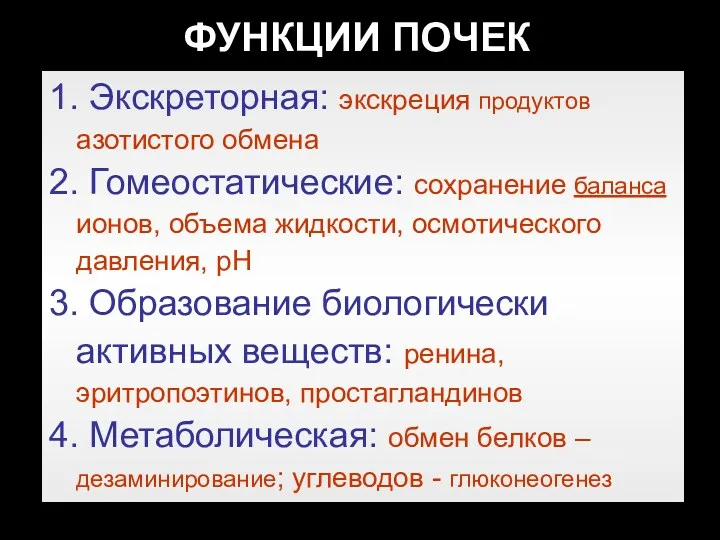 ФУНКЦИИ ПОЧЕК 1. Экскреторная: экскреция продуктов азотистого обмена 2. Гомеостатические: сохранение баланса ионов,