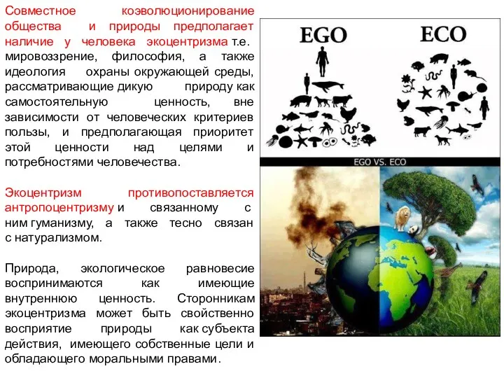 Совместное коэволюционирование общества и природы предполагает наличие у человека экоцентризма