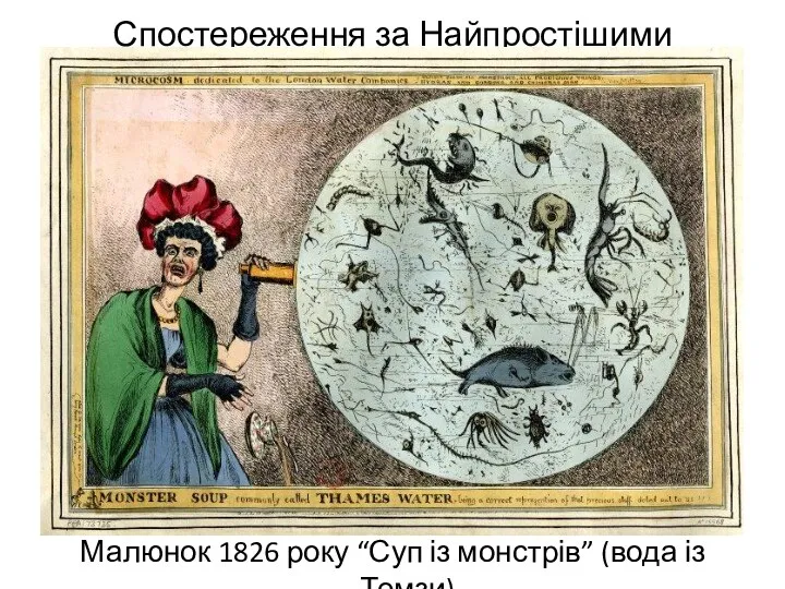 Спостереження за Найпростішими Малюнок 1826 року “Суп із монстрів” (вода із Темзи)