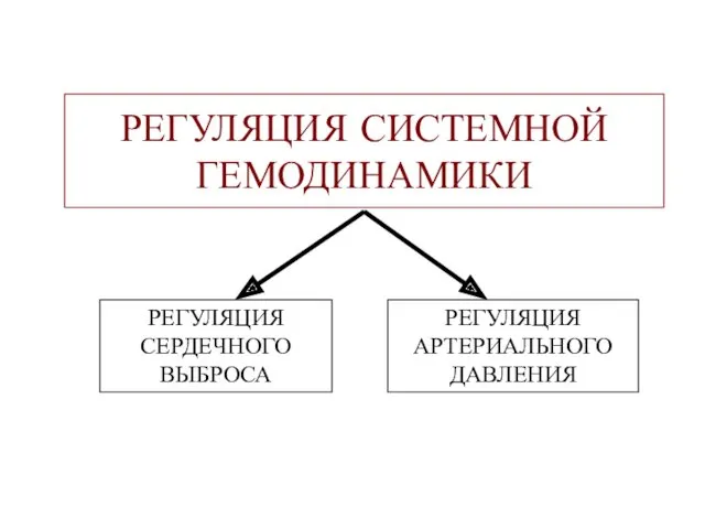 РЕГУЛЯЦИЯ СИСТЕМНОЙ ГЕМОДИНАМИКИ РЕГУЛЯЦИЯ СЕРДЕЧНОГО ВЫБРОСА РЕГУЛЯЦИЯ АРТЕРИАЛЬНОГО ДАВЛЕНИЯ