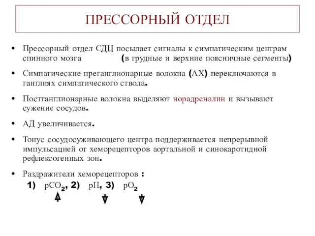 ПРЕССОРНЫЙ ОТДЕЛ Прессорный отдел СДЦ посылает сигналы к симпатическим центрам