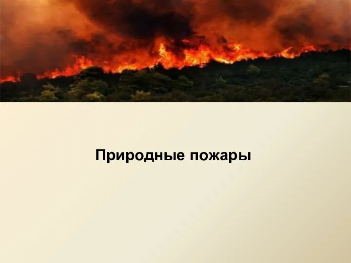 Природные пожары