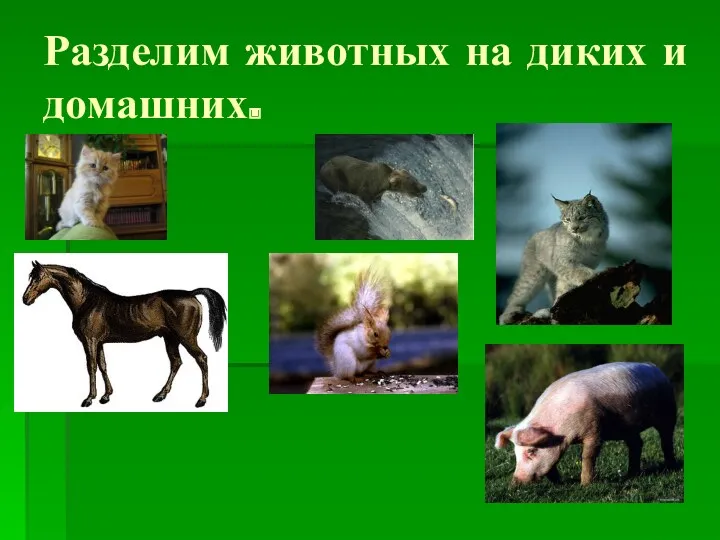 Разделим животных на диких и домашних.